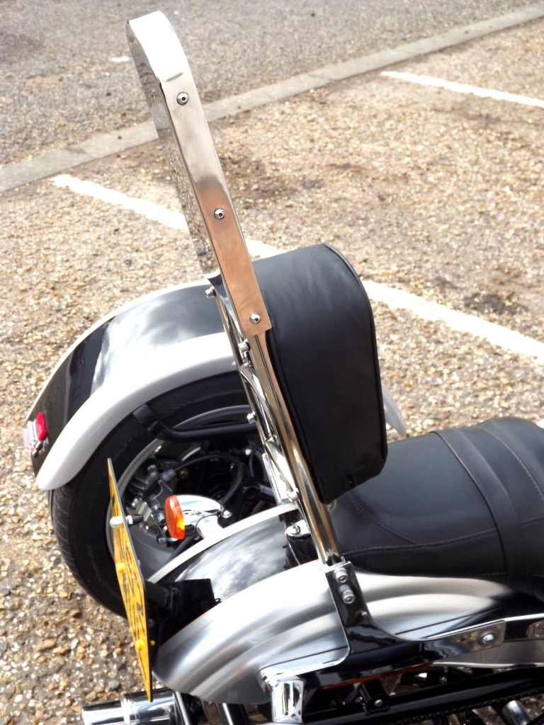 Casarva Harley Davidson Dyna FXDL Trike with our Independent rear suspension (IRS), reverse, raked front forks, twin stainless exhausts and Casarva Tall Custom Sissy Bar in mirror polished stainless steel.